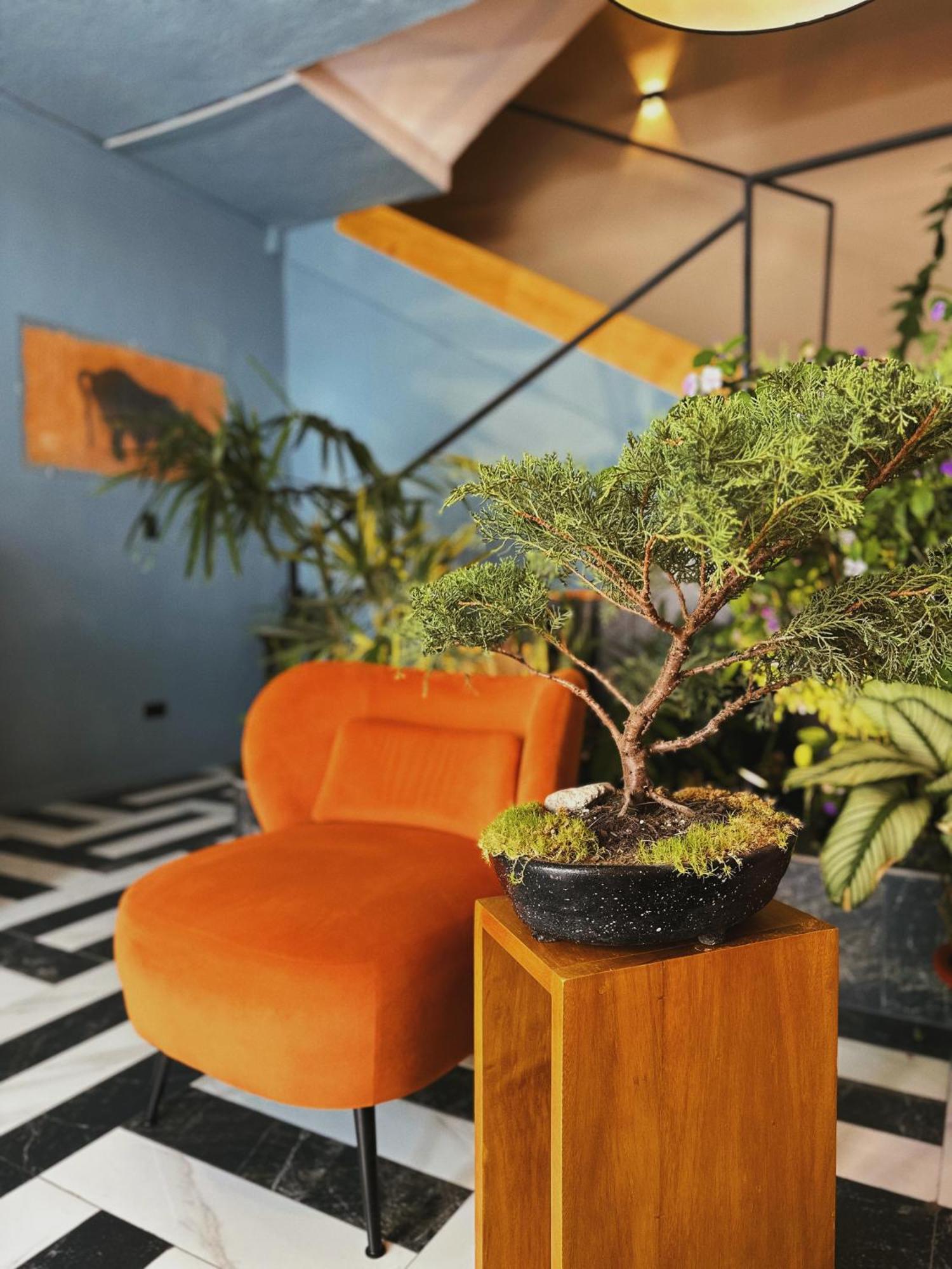 Hotel Agave Banos Экстерьер фото